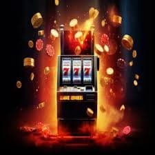 8 bed